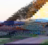 Rowlee Wines - Great Ocean Road Tourism