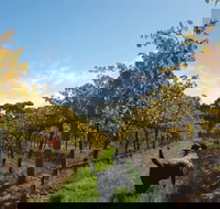 Ruddenklau Wines - Great Ocean Road Tourism