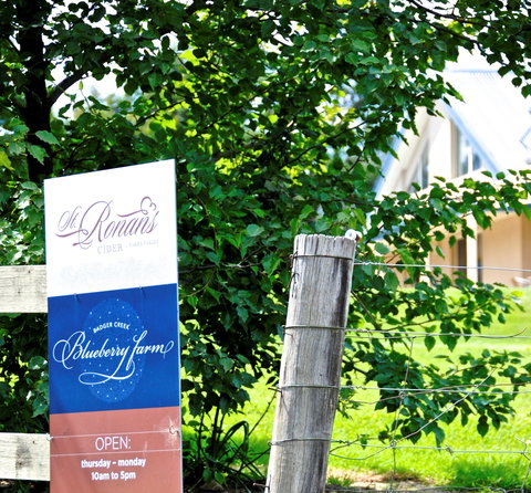 Badger Creek Blueberry Winery - Great Ocean Road Tourism 1