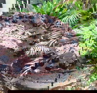 Kimnat Little Market and Cafe - Great Ocean Road Tourism