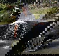 41 Degrees South Tasmania - Great Ocean Road Tourism