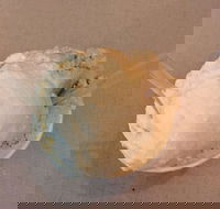 Pietro Gelateria - Great Ocean Road Tourism