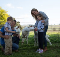 Sunhill Dairy Goats and Sunhill Skin Essentials - Great Ocean Road Tourism
