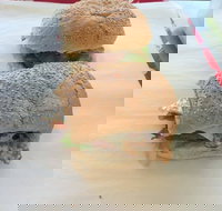 Taylor's Seafood - Great Ocean Road Tourism