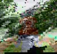 Cherryhill Orchards - Great Ocean Road Tourism