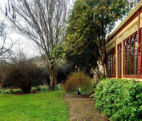 Glen Derwent Tea Rooms - Great Ocean Road Tourism 0