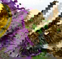 Noor Mahal Indian Restaurant - Great Ocean Road Tourism