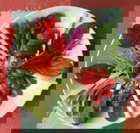 Olive Bus Clare - Great Ocean Road Tourism