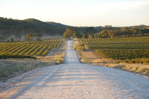 Stone Bridge Wines - Great Ocean Road Tourism 0