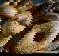 Criterion Tavern - Great Ocean Road Tourism