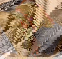 Guzman Y Gomez - Perth Airport - Great Ocean Road Tourism