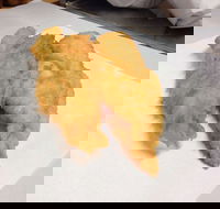 Hooked and Cooked Fish and Chips - Great Ocean Road Tourism