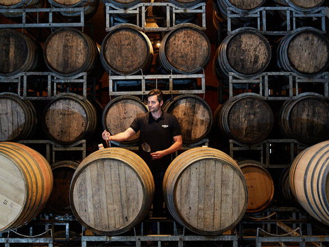 Pipers Brook Vineyard - Great Ocean Road Tourism 0