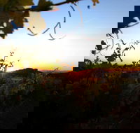 Glenbosch Wine Estate - Great Ocean Road Tourism