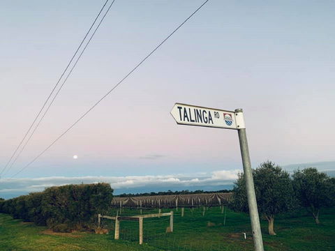 Talinga Grove - Great Ocean Road Tourism 2
