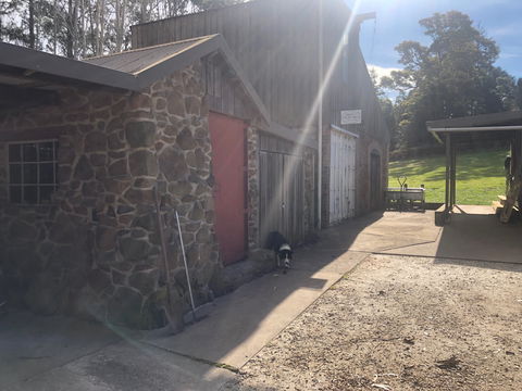 Wilmot Hills Orchard & Distillery - Great Ocean Road Tourism 1