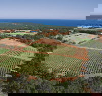 Wise Wine - Great Ocean Road Tourism