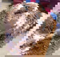 Bear With Me - Great Ocean Road Tourism