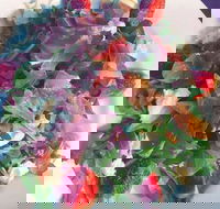 Cafe Bella Rosa - Great Ocean Road Tourism