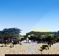 Hillock Downs Produce Store - Great Ocean Road Tourism