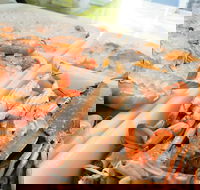 Rufus King Seafoods Amity Point - Great Ocean Road Tourism