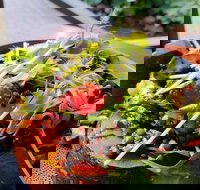 The Berry Farm Cottage Caf - Great Ocean Road Tourism