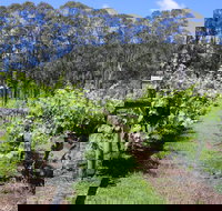 Woongooroo Estate Winery - Great Ocean Road Tourism