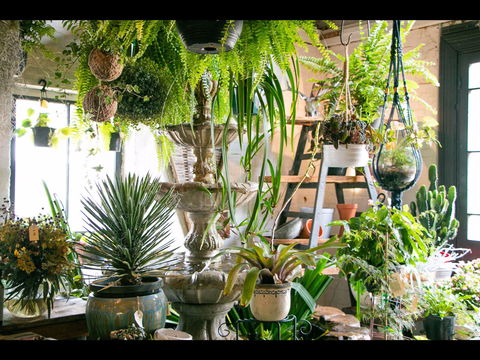 Deadwood - Great Ocean Road Tourism 2