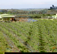 Dindima Wines - Great Ocean Road Tourism