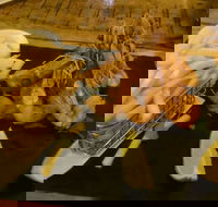 Jack and Shanan's - Great Ocean Road Tourism