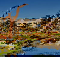 The Minya Vineyard  Winery