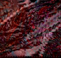 Urban Tadka - Great Ocean Road Tourism