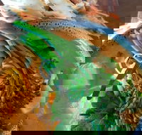 Fairbrossen Estate - Great Ocean Road Tourism