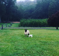 Goat Hill Farm - Great Ocean Road Tourism