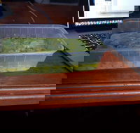 Papillon's Pizza and Pasta