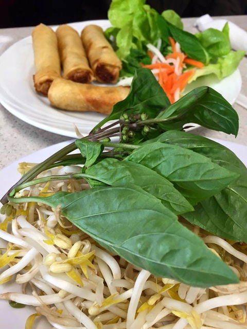 PHO 234 - Great Ocean Road Tourism 0