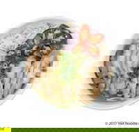 Viet Noodle  Grill - Great Ocean Road Tourism