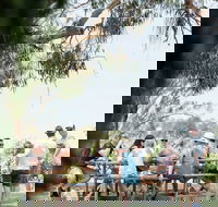 St Leonards Vineyard Caf - Great Ocean Road Tourism