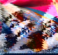 Donut King - Cranbourne