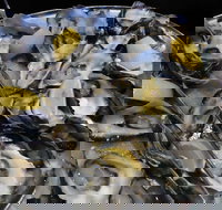 View 42o - Great Ocean Road Tourism