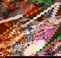 Lucky Egg - Fortitude Valley - Great Ocean Road Tourism