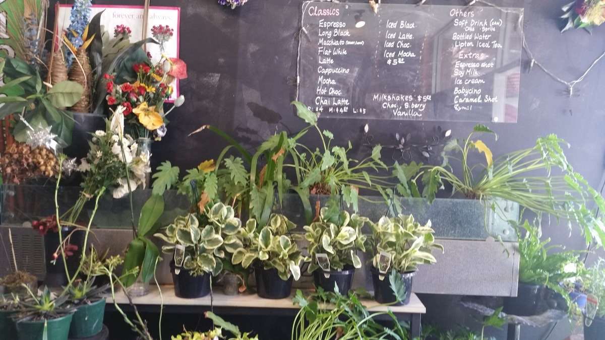 Hamilton QLD Great Ocean Road Tourism