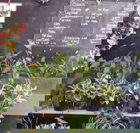 Milk  Froth - Ascot  Hamilton - Great Ocean Road Tourism