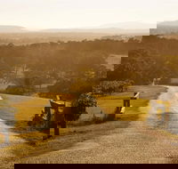 Petersons Wines - Great Ocean Road Tourism