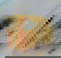 Central Patisseries - Great Ocean Road Tourism