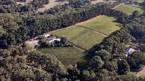 Main Ridge Estate - Great Ocean Road Tourism 1