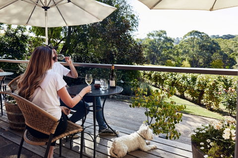 Main Ridge Estate - Great Ocean Road Tourism 2