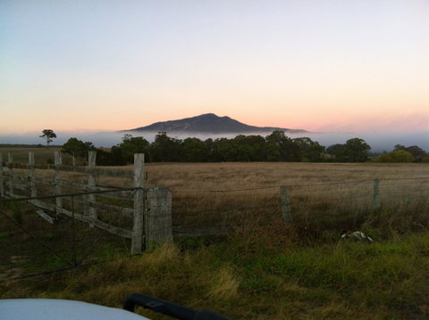 Mountainside Wines - Great Ocean Road Tourism 0
