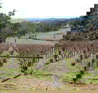 Habitat Vineyard - Great Ocean Road Tourism