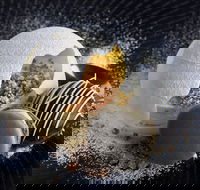 The Roundabout Restaurant